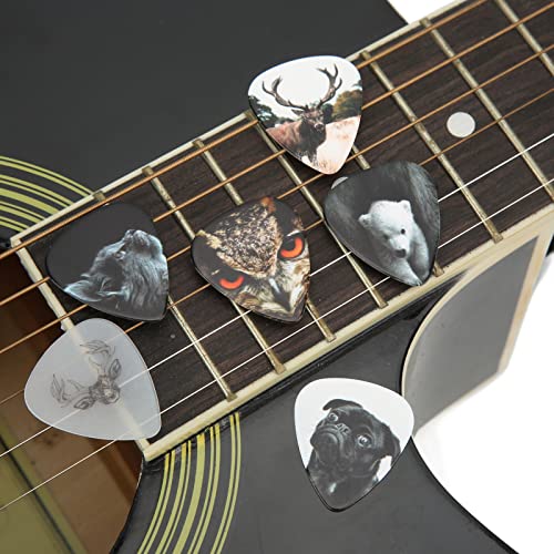 Médiators de guitare, design moderne, excellent cadeau, calibre moyen, intonation agréable, fournit des médiators de… - Les Beatles, Paul McCartney, John Lennon, RIngo Starr, George Harrison Médiators de guitare, design moderne, excellent cadeau, calibre moyen, intonation agréable, fournit des médiators de… – Image 4