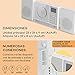 auna Connect Vertical - Radio con Internet, 2 Altavoces, Sintonizador Internet, FM,...