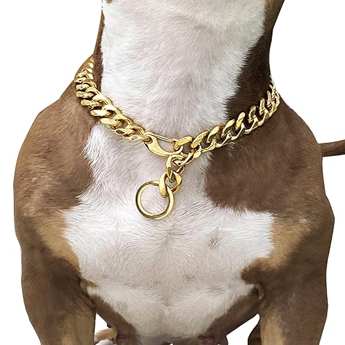 Adjustable Strong Lobster Clasps Dog Titan Collar Training Walking Metal Dog Duty Chew Proof for Medium Large Dogs American Pitbull German Shepherd