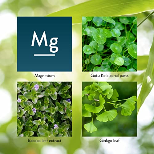 Nature's Sunshine Mind-Max 90 Capsules #TOP4