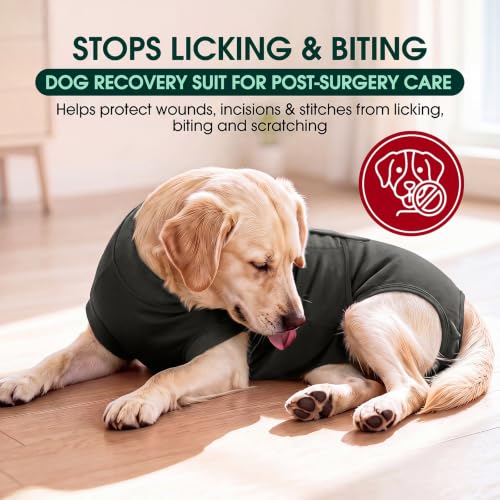 Image of Kuoser Dog Surgery Suit Female Spay, Dog Recovery Suit Male Neuter