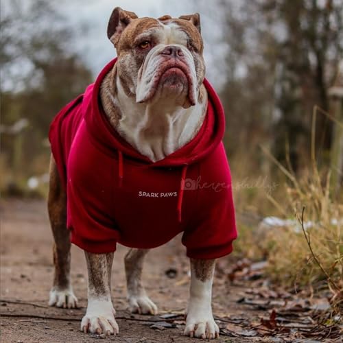 Image of Spark Paws Dog Hoodie - Premium Dog Sweater for Small, Medium, and Large Dogs | Warm Outfits for French Bulldogs, Pitbull, Puppy, Winter Jacket Alternative - Burgundy - L