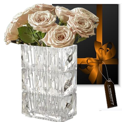 LIBRNTY Glas Blumenvase,vasen deko,Regenbogen vase,vase für tulpen,Moderne Glasvase für Blumen,Als Dekoration für Balkon Fensterbank Wohnzimmertisch,Einweihungsgeschenk (Transparent)