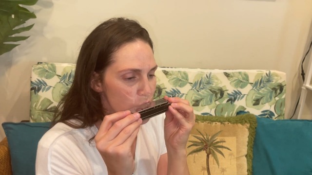 Amazon.com: SWAN Blues Harmonica Key of C Mouth Organ Diatonic
