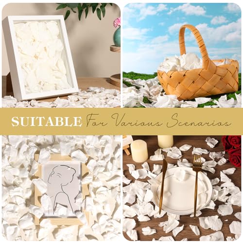 Pétalos de rosa seca natural blancos 3.53 oz 380 pcs miniatura 7