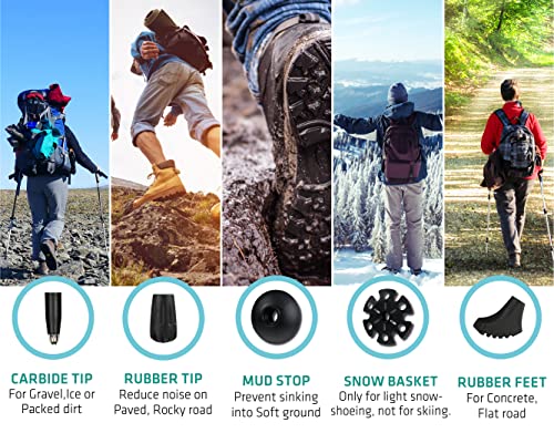 image for TREKOLOGY Trek-Z Collapsible Hiking & Trekking Poles - Balance Support