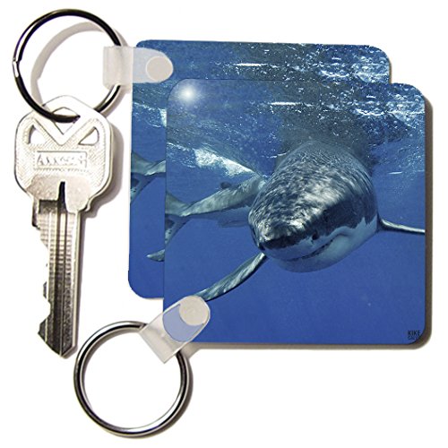 Requin Blanc porte-clés lot de 2 accessoires pour trousseau