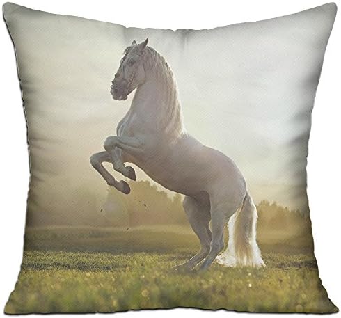Nature Field White Horse Animal 18" X 18" Double Sides Printing Complete Sofa Pillow (Insert Included)