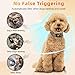 Premium Mini Petbarksafe Upgraded Hundehalsband für Collarantibarking Große und Kleine Hunde Aller Größen (mini)
