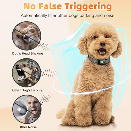 Premium Mini Petbarksafe Upgraded Hundehalsband für Collarantibarking Große und Kleine Hunde Aller Größen (mini)
