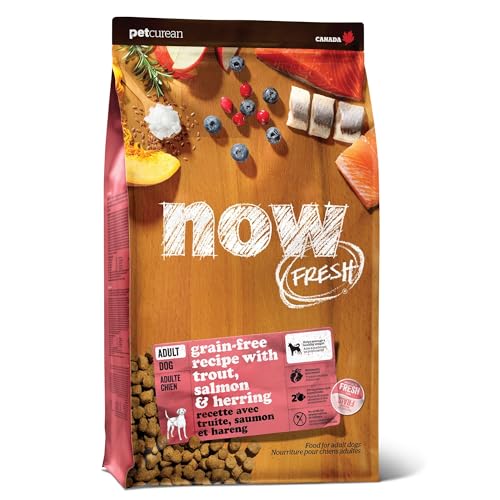 Image of Now Fresh Grain-Free, Dry Dog Food, Real Trout, Salmon and Herring Adult Recipe, All Breed Size, 22 lb Bag