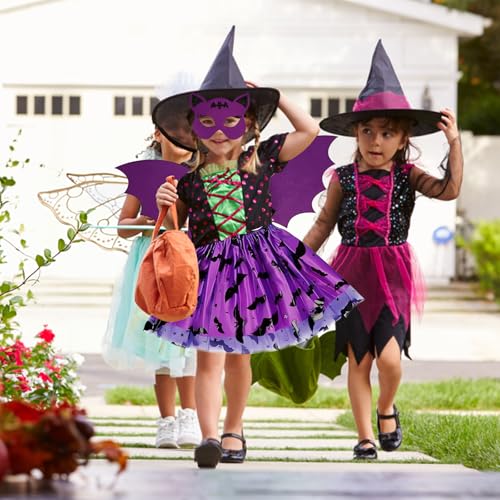 Photo complémentaire