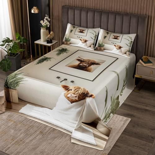 jejeloiu Funny Highland Cow Bedspread 3Pcs King Size Kids Rustic Farm Coverlet Set for Boys Girls Highland Cattle Quilted Coverlet,Microfiber
