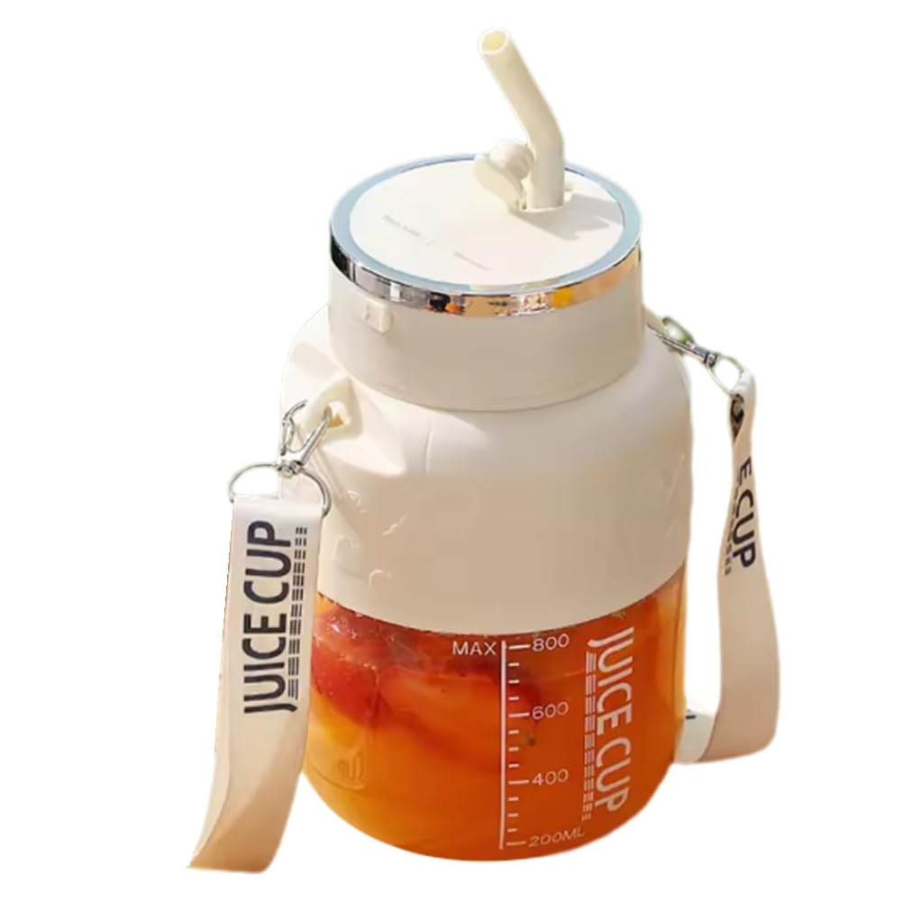 Presse-agrumes électrique portable sans fil blender extracteur jus 800ml acier