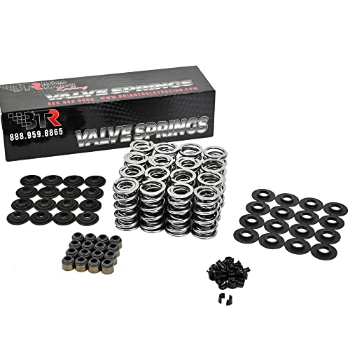 Brian Tooley Racing Btr Ls Dual Valve Spring Kit (.660" Lift) With Steel Retainers -Fits Ls1 Ls2 Ls3 Ls4 Ls6 L76 L92 L99 Lq4 Lq9 L33 Lsa #TOP1
