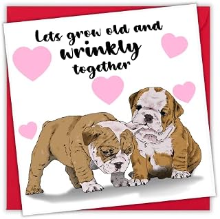 NotNiceThings Old and Wrinkly - Funny Valentine's Day Card for Him & Her - Hilarious and Relatable, Unique and One-of-a-kind, Perfect for Boyfriend, Husband, Girlfriend, and Friends