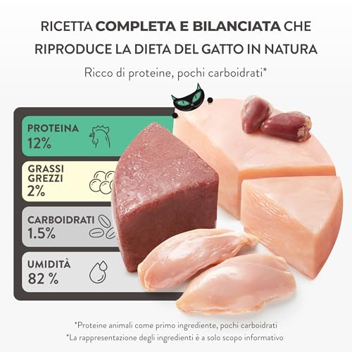Schesir After Dark Hähnchenfilets in Brühe, komplettes Nassfutter für Katzen, aus der Dose, Grain frei, hoher Proteingehalt, feuchtigkeitsspendend, 12 x 80 g