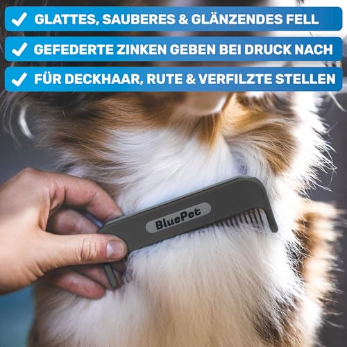 BluePet Zauberkamm Patentiert mit Rotierenden & Nachgebenden Zinken I Entfernt sanft Knoten & Entwirrt das Fell I Hundekamm Katzenkamm für Langhaar Hunde & Katzen
