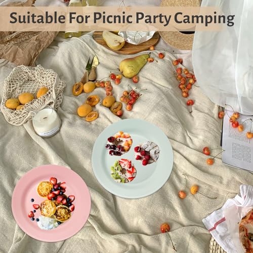 Orrdiffi Kunststoff Teller 25 cm Leichte Kunststoffplatten Unzerbrechliche Große Teller Mikrowellen und Spülmaschinenfest Speiseteller für Pizza,Pasta,Brot,Salat Plastikteller,Camping - Bunt