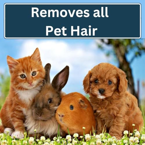 Boomy Pet Hair Remover Roller-Reusable Animal Hair Removal Brush for Dogs, Cats and Rabbits- Removes Pet Hair from Furniture, Clothes, Couch, Carpet and Bedding-Portable Multi-Surface Fur Removal Tool by Generic - Image 4