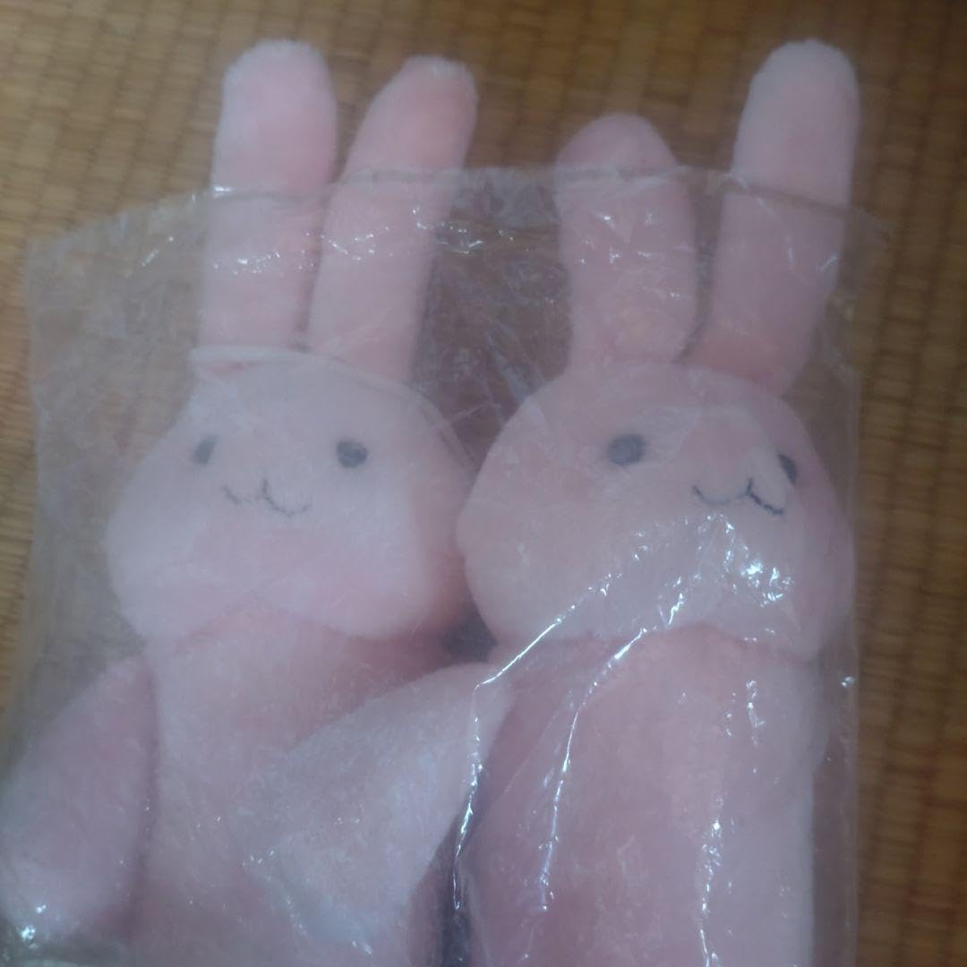 Amazon.co.jp: 桜蘭高校ホスト部 ハニー先輩 うさちゃん 人形 ブーツ 