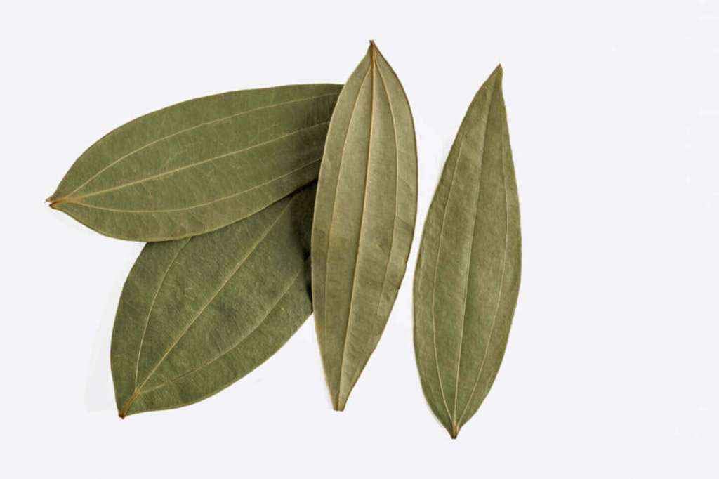 PAYASVINI Bay Leaf | Tej Patta | Whole Dry Bay Leaves (50 grams)