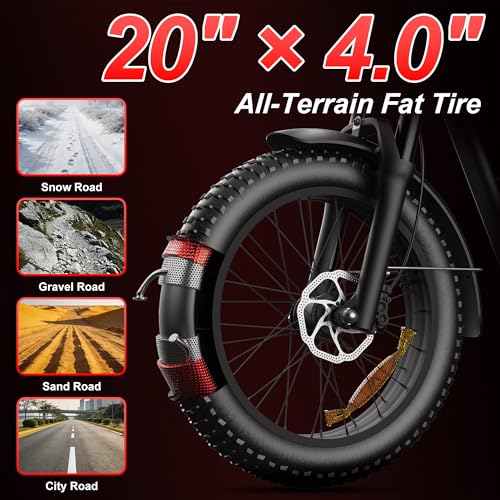 WynRyd 1000W Fast Ebike
