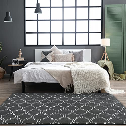 Chicrug Shag Geometric Modern Area Rug For Bedroom, 4X6 Feet Memory Foam Indoor Carpet, Moroccan Fluffy Rug For Living Room Bedside Room Decor For Family Girls Kids Nursery Play Mat, Dark Grey/White #TOP4