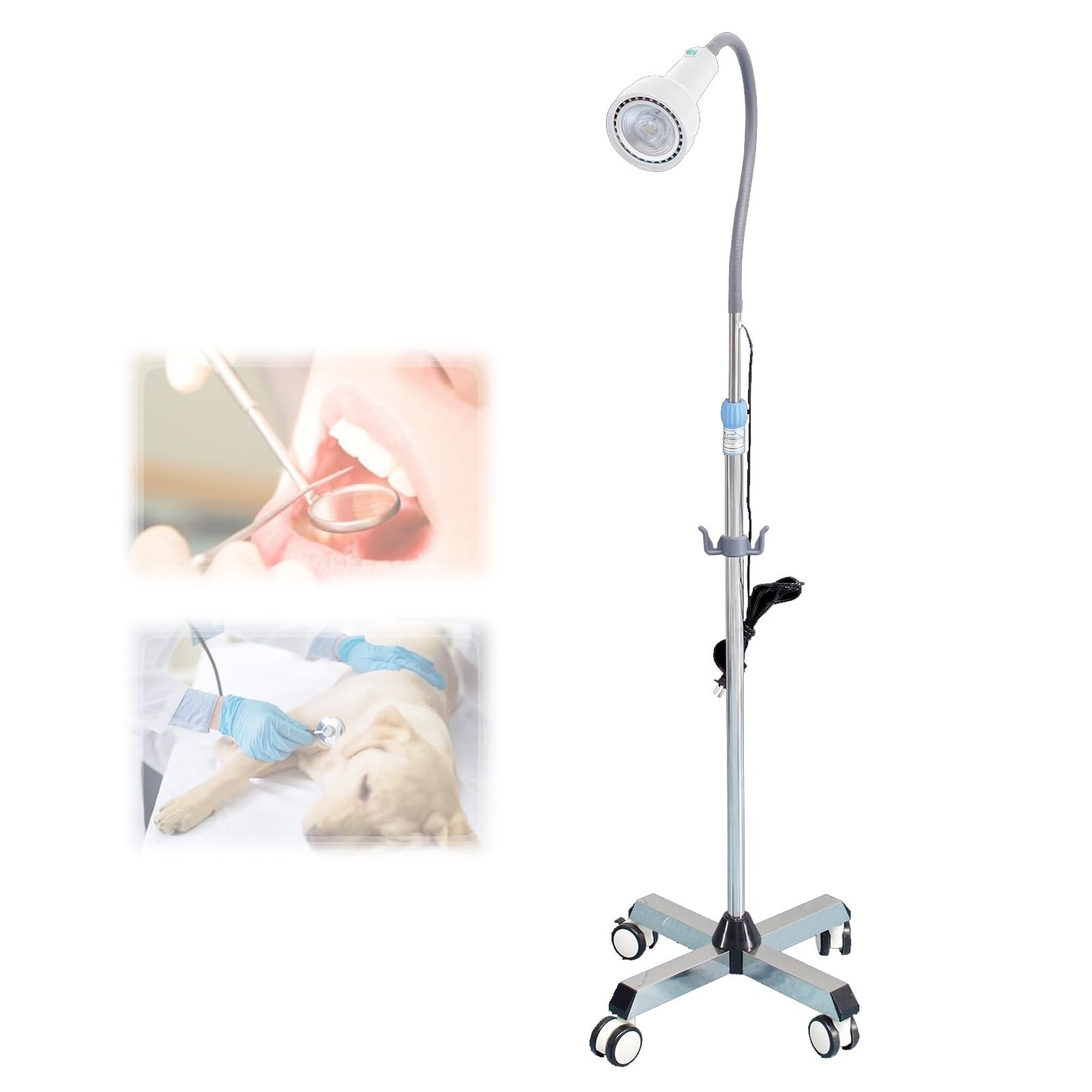 Sbcwh One Color Led Medical Exam Light, 360° Rotation Floor Stand Type Examination Lamp, Surgical Examination Lights Mobile Pet Lamps, Adjustable Height, For Gynecology, Otolaryngology, Dentistry