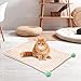 IEUDNS Pet Blanket Cat Dog Cage Cushion Fleece Multifunction Pet Crate Mat Practical Warm Bed Mat for Puppy, Pink, M