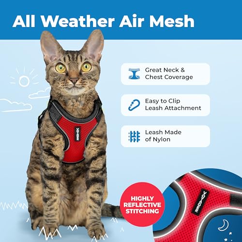 Image of Voyager Escape-Proof Step-in Lock Cat Harness & 5ft Neoprene-Handle Leash Set All-Weather Mesh with Reflective Stitching for Small to Large Cats by Best Pet Supplies, Black Trim-Red (327), XXS