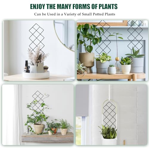 image for WellSign Metal Trellis for Climbing Plants Indoor, 16.36 inch Small Tr