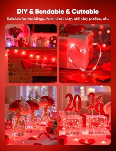 Image of Brightown 12 Pack LED Fairy Lights, Waterproof, Red, 7 Feet, 20 LEDs, Battery Operated, Flexible Silver Wire, Safe, Energy Saving, Long-Lasting, Indoor and Outdoor Use