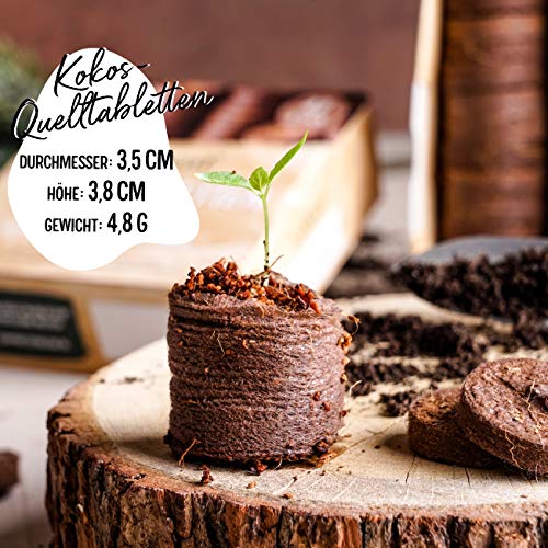 valeaf Kokos Quelltabletten 42 STK mit Nährstoffen I torffreie Kokoserde Anzuchterde mit Startdünger I Kokosquelltabs I Pflanzen für Anzucht I ideal für Stecklinge I Anzucht Erde ohne Pikieren - Image 3