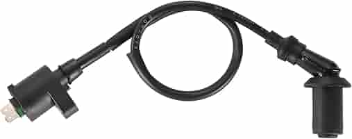 Bobina Di Accensione Akozon Per Scooter, ATV, Go-Kart - Sostituzione Per Motocicli, Nero - Foto 10