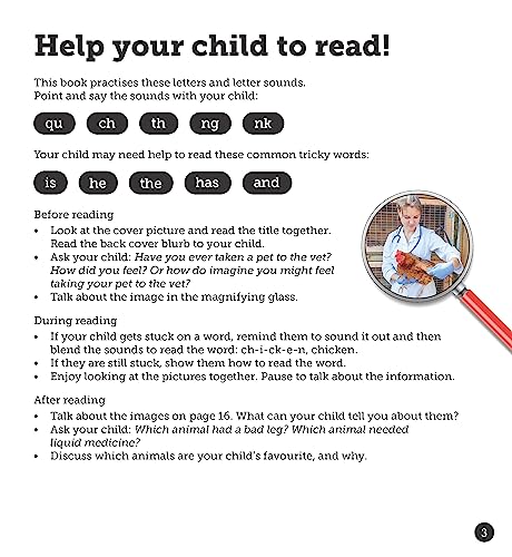The Job of a Vet (Set 4) (Phonics Book Bag Readers)