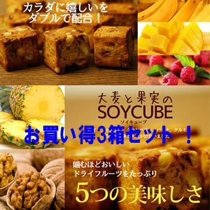 唞Ɖʎ̃\CL[u 800gi200g×4܁ji3Zbgj