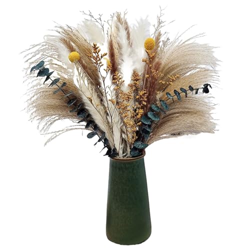 Decoración Pasto de la Pampa Decoración Hierba de la Pampa Decoración Diaria la Mesa del Comedor Flores Secas para Salón Bohemio, Dormitorio y Jarrones