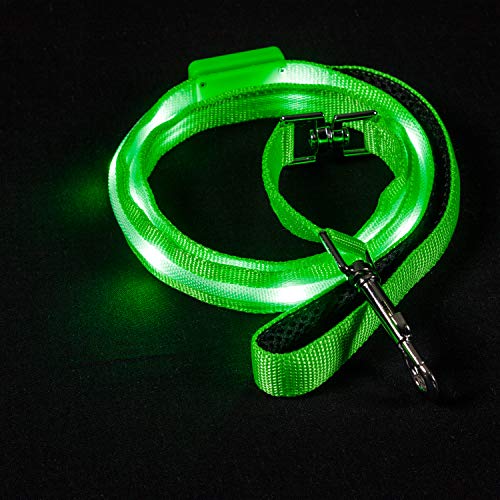 BLAZIN Light Up Dog Leash LED - 1,000 Feet of Visibility - USB Rechargeable Waterproof Glow in The Dark Dog Leash - 4 Foot, Green