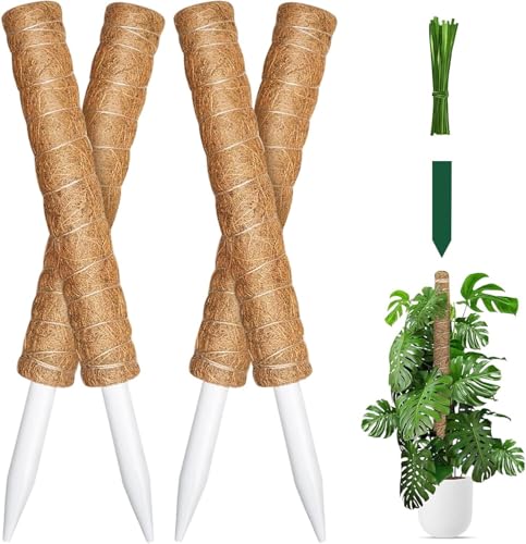 Lot de 4 piquets en mousse de 160 cm pour plantes grimpantes d'intérieur, support de plante Monstera en fibre de coco pour plantes en pot, marron