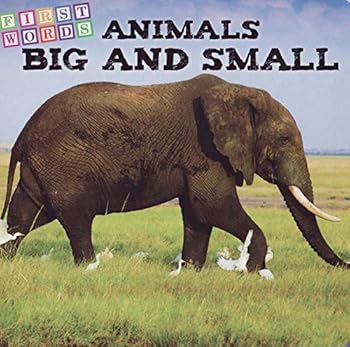 Board book Animals Big and Small ( First Words ) Book