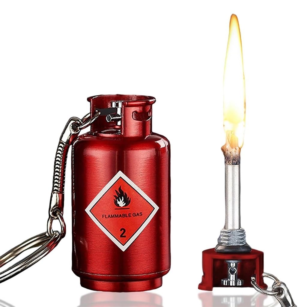 LexTex Briquet Porte Clés, Allumettes étanches, Kit D'allumage D'urgence Portable For L'alpinisme, Kit D'allumage De Feu En Pierre Et Acier For Camping, Voiture Et Maison(Black Silver