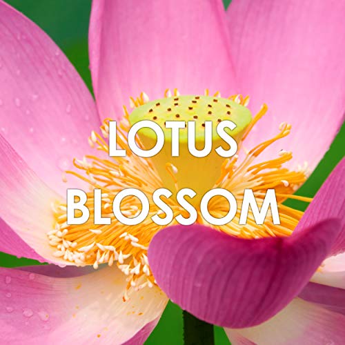 Fantasy Glitter Edt 100Ml, Arden