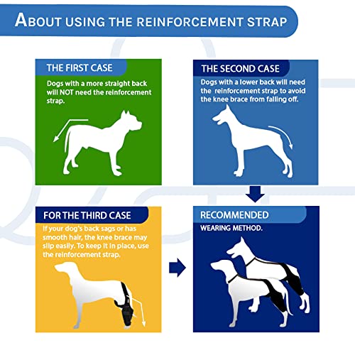 Image of Dog Knee Brace for Hind and Rear Leg, Support for Dog Ligament Injury Joint Pain, Size Medium