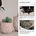 XBrand Set of 3 Fiberstone Cement Round Indoor Outdoor Planters, Modern Decorative Plant Pots with Drain Hole for All House Plants, Succulents & Flowers, 16