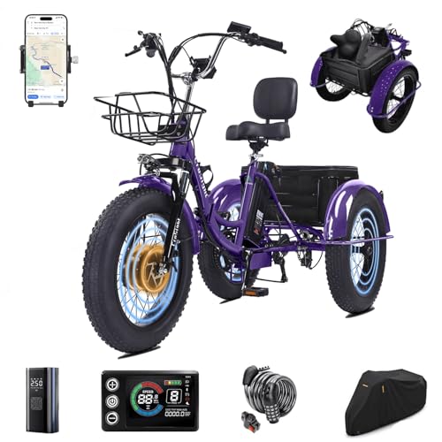 CroSight 2.0 Electric Tricycle