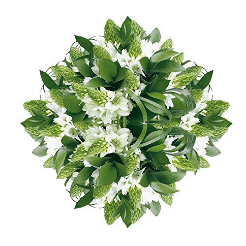 GlobalRose 180 Blooms of Star of Bethlehem 20 Stems - Fresh Flowers for Delivery