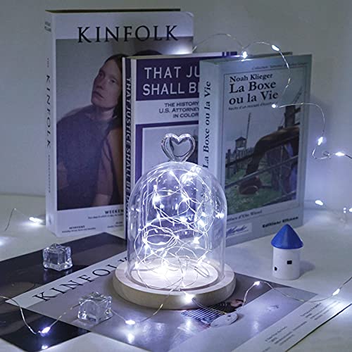 Lovenite Led Fairy String Lights, Battery Operated Starry Firefly Lights 6.6Ft 20 Led Waterproof Silver Copper Wire Mini Lights For Mason Jar Wedding Christmas Party Decor (12 Pack, Cool White) #TOP4