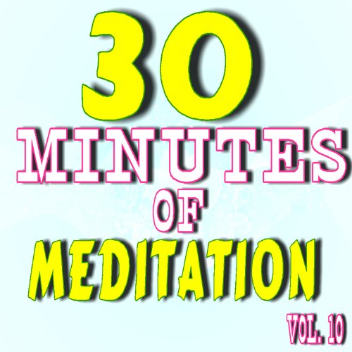 30 Minutes of Meditation, Vol. 10 Shawn Johnson Band