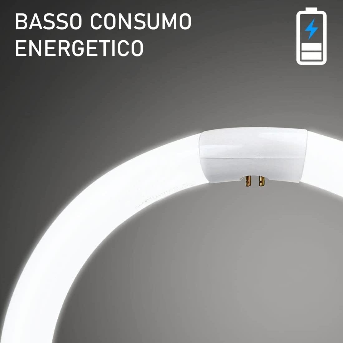 HYTAMA TOOLS LUMINA LIGHT - T9 Lampadina Fluorescente Attacco G10q Luce Bianca Fredda 6400K, Circolare, Vetro. [Classe di efficienza energetica A] (40)